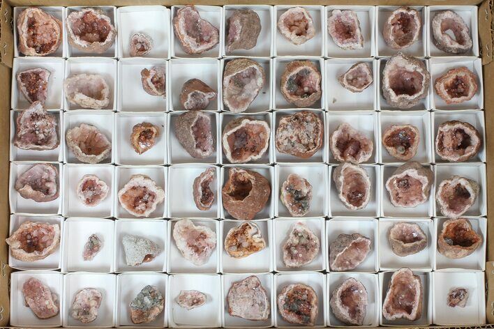 Flat: Small, Pink Amethyst Geode Sections From Argentina - Pieces #182599